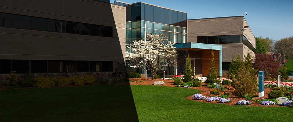 Williams Landscapers