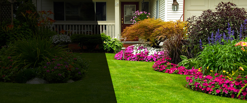 Williams Landscapers