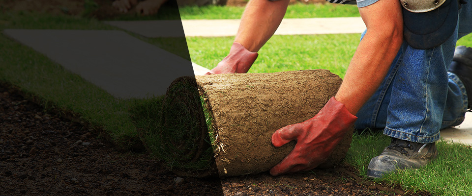 Williams Landscapers